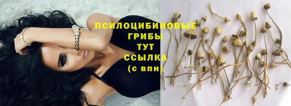прущая мука Волоколамск