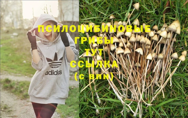 таблы Верхний Тагил