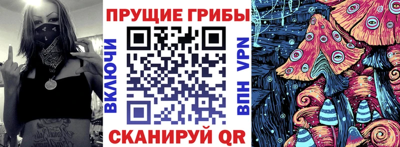 как найти закладки  Волосово  Галлюциногенные грибы ЛСД 